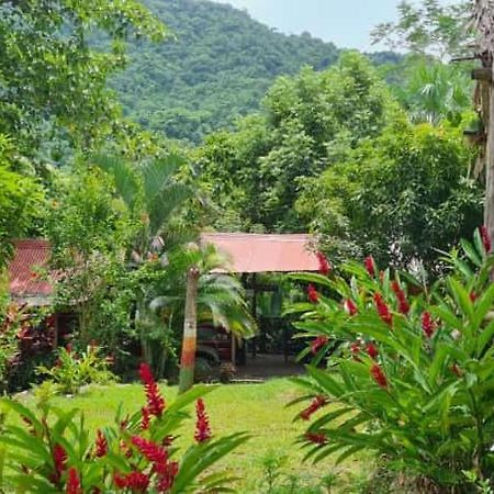 Eco Hostal Monolandia El Zaino Exteriér fotografie