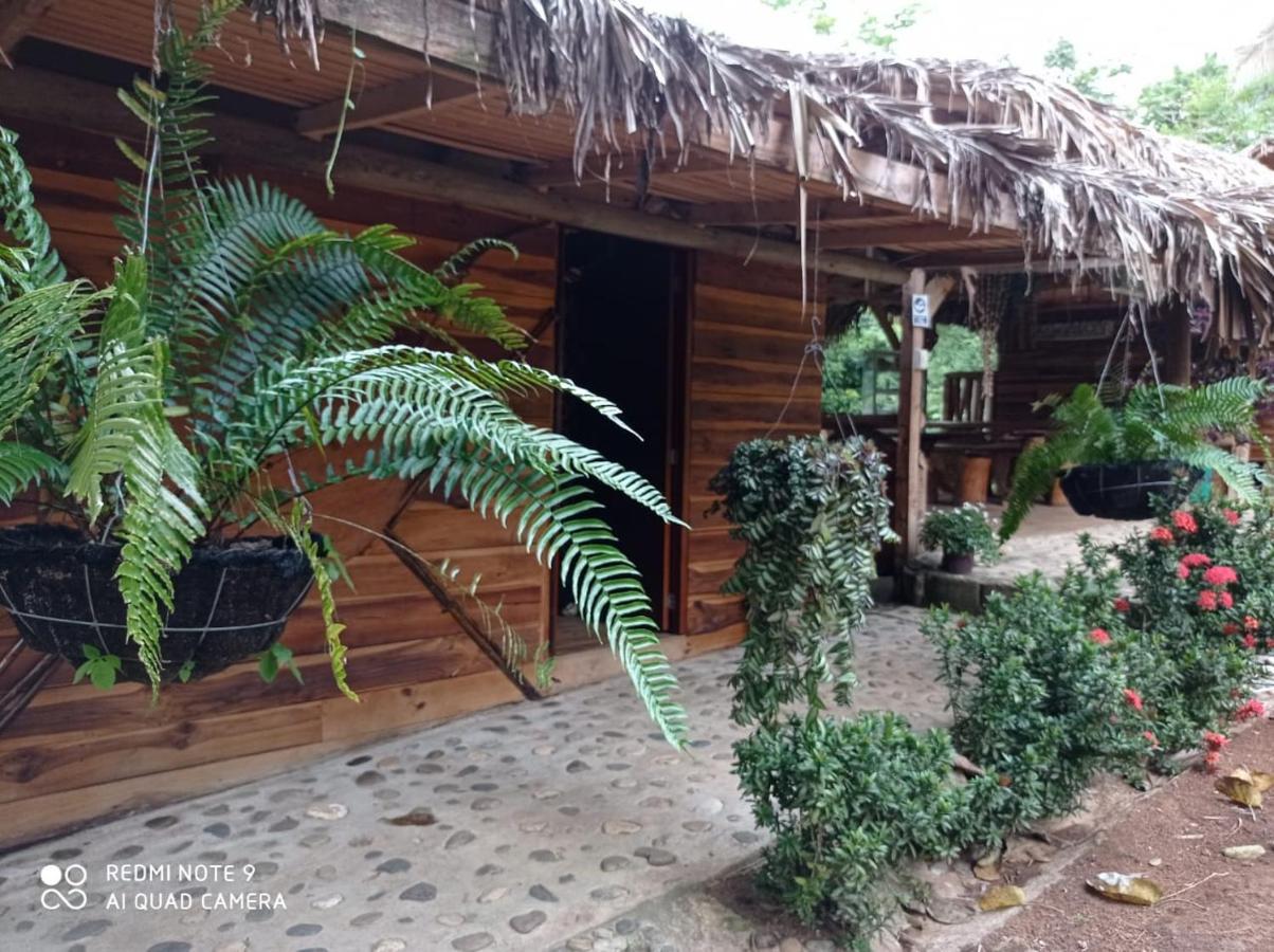 Eco Hostal Monolandia El Zaino Exteriér fotografie