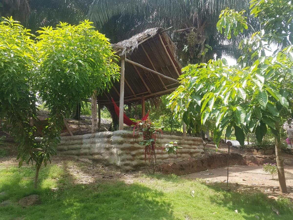 Eco Hostal Monolandia El Zaino Exteriér fotografie