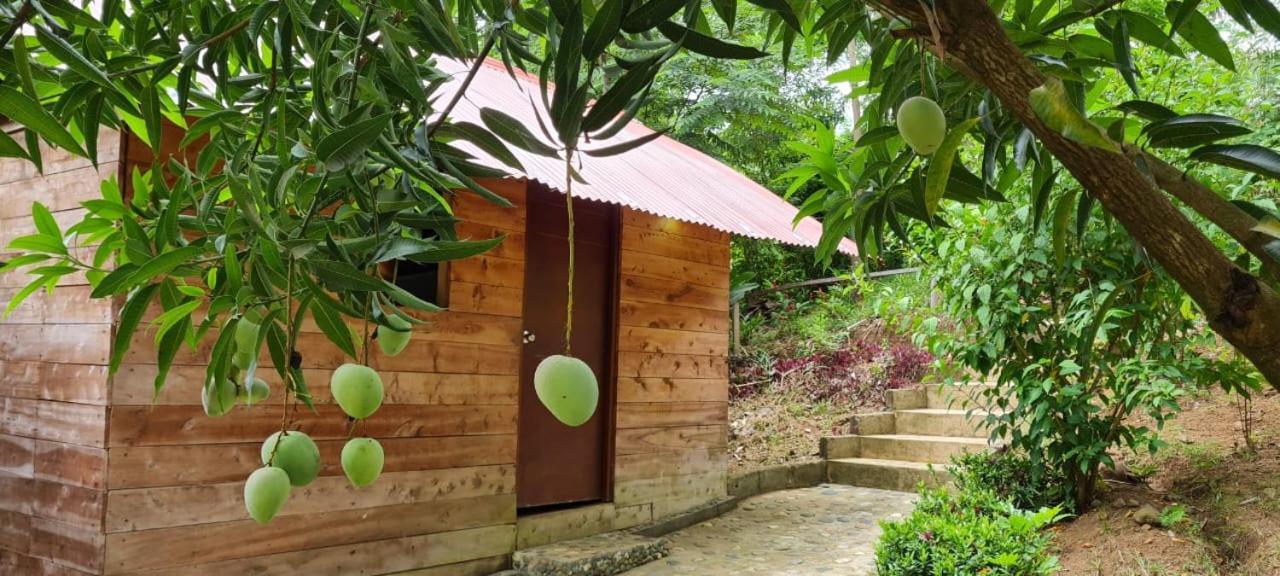Eco Hostal Monolandia El Zaino Exteriér fotografie