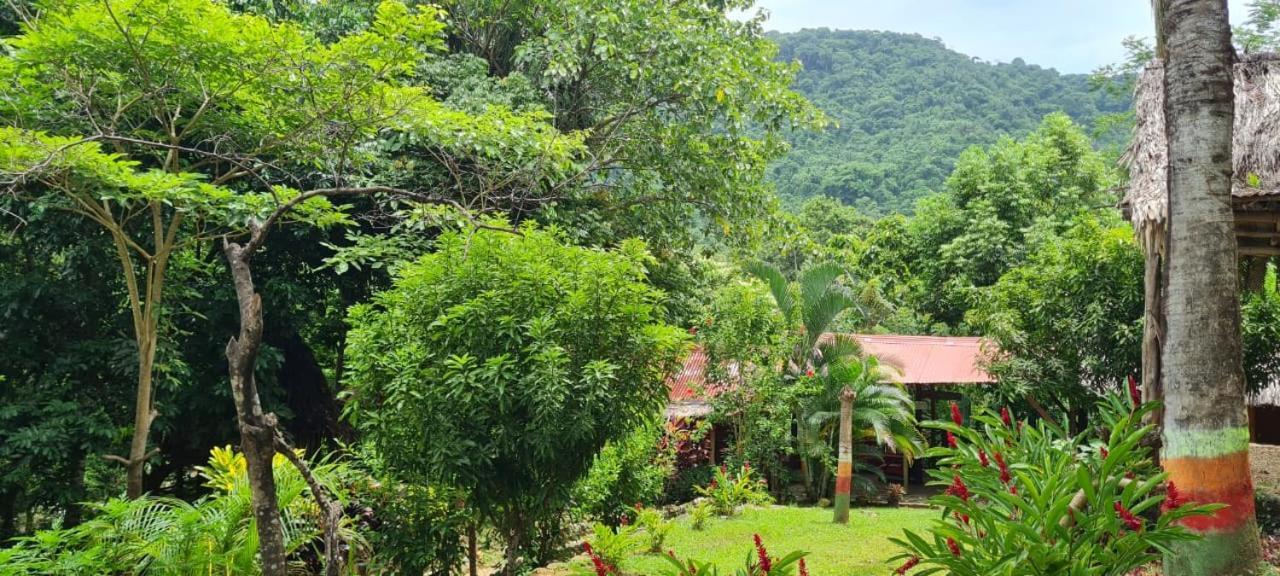 Eco Hostal Monolandia El Zaino Exteriér fotografie