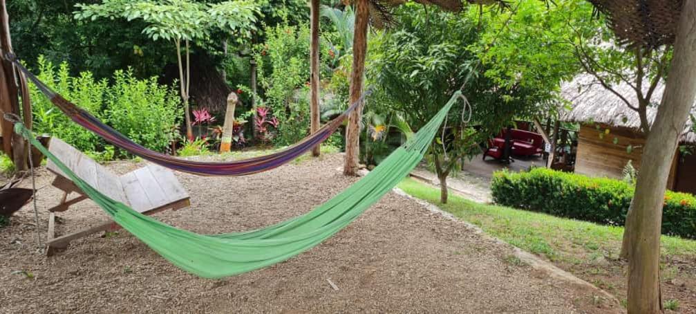 Eco Hostal Monolandia El Zaino Exteriér fotografie