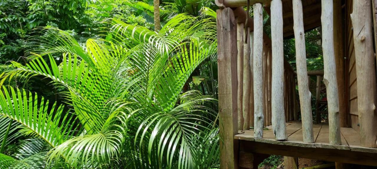 Eco Hostal Monolandia El Zaino Exteriér fotografie