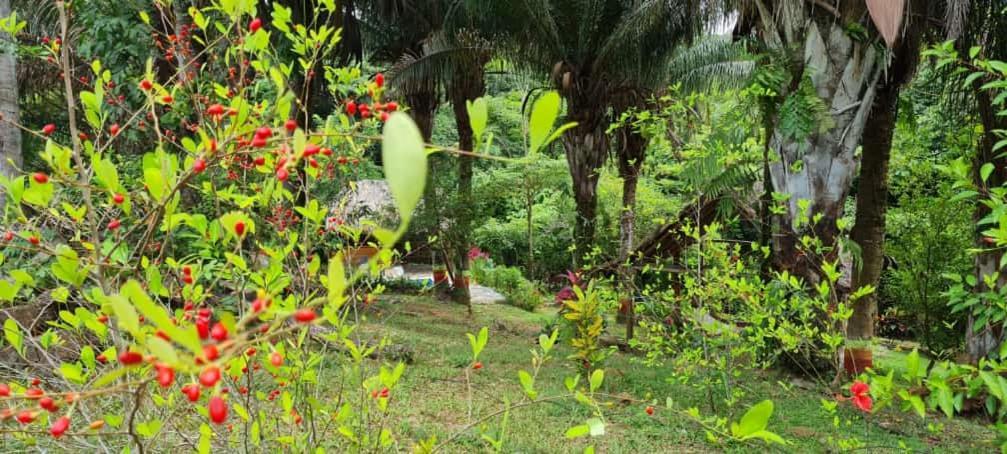 Eco Hostal Monolandia El Zaino Exteriér fotografie