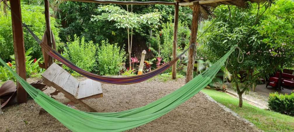 Eco Hostal Monolandia El Zaino Exteriér fotografie