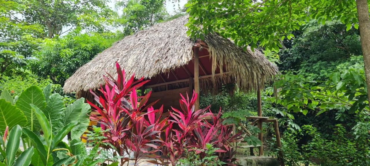Eco Hostal Monolandia El Zaino Exteriér fotografie
